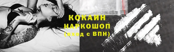 МДПВ Вяземский