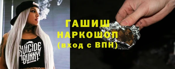 МДПВ Вяземский