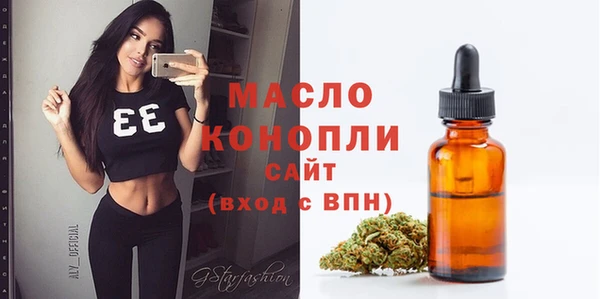 МДПВ Вяземский