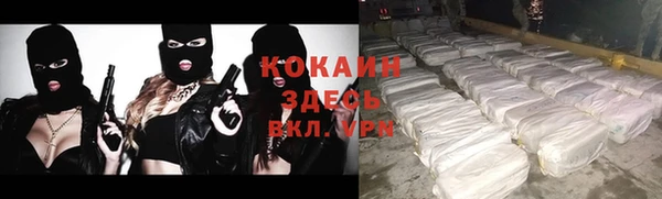 apvp Вязьма
