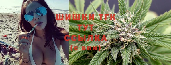 apvp Вязьма