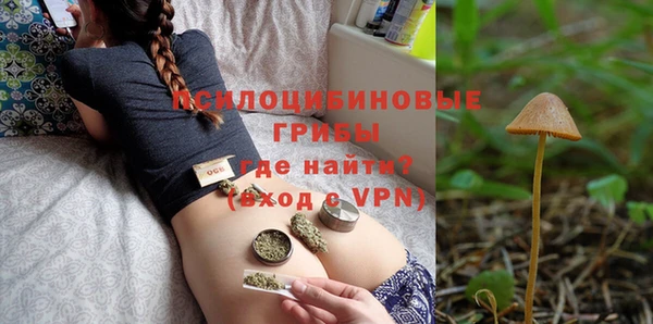 МДПВ Вяземский