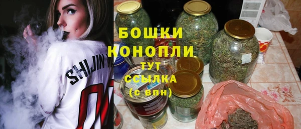 МДПВ Вяземский