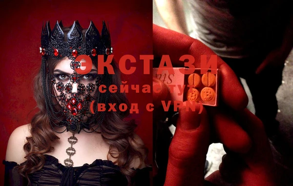 МДПВ Вяземский