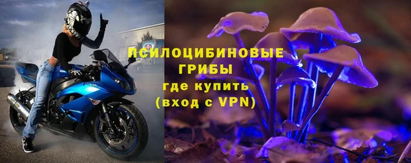 apvp Вязьма